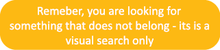 Remeber, you are looking for something that does not belong - its is a visual search only